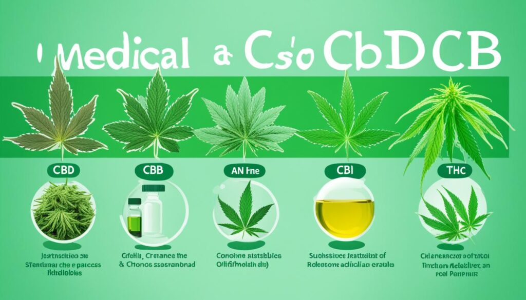 CBD and THC Medical Uses